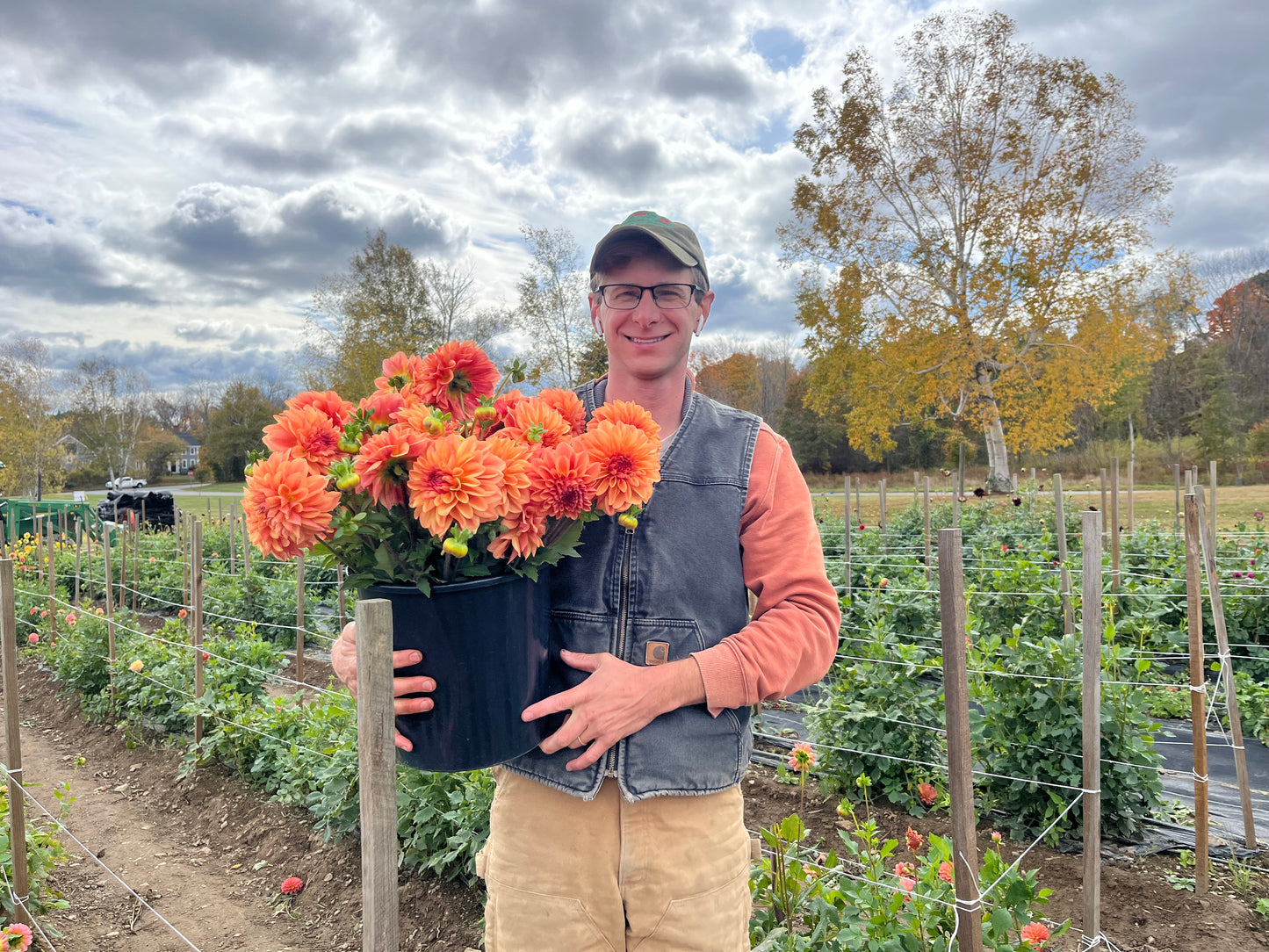 6 Week Dahlia Share
