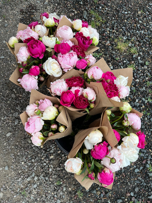 3 Week Peony Share